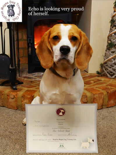 December 6 2024: Echo-Silver Award