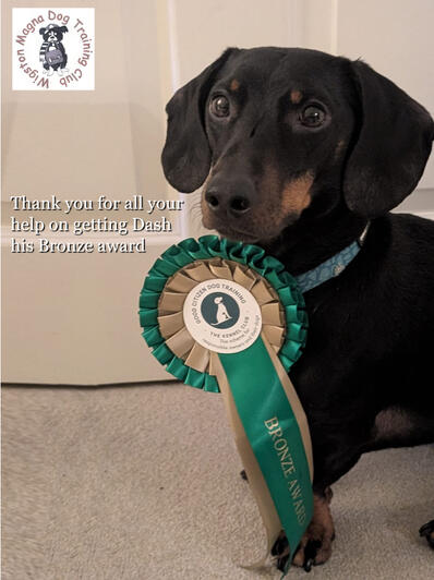 December 6 2024: Dash Bronze Award December 6 2024: Dash Bronze Award