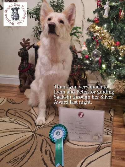 December 6 2024: Saakshi-Silver Award December 6 2024: Saakshi-Silver Award