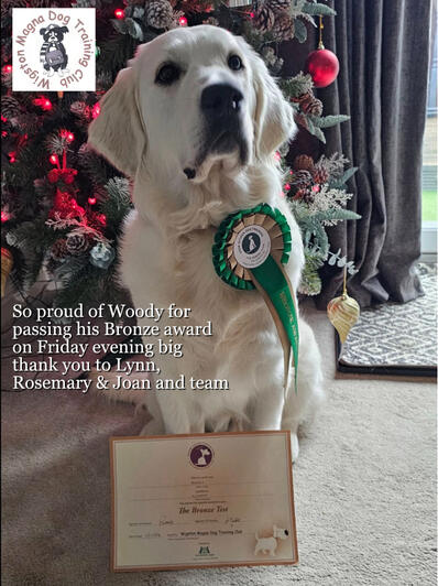 December 6 2024: Woody- Bronze Award December 6 2024: Woody- Bronze Award