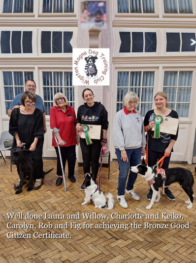 August 2024: Willow Keiko Fig- Bronze Award