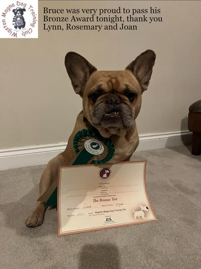 December 6 2024: Bruce-Bronze Award