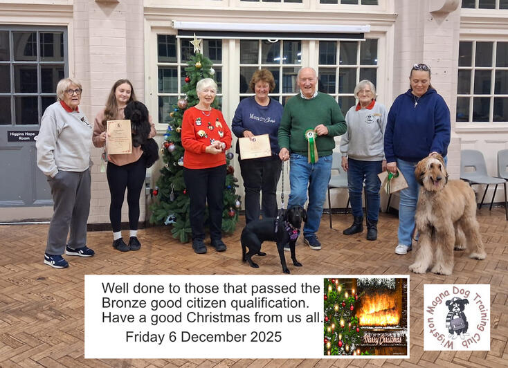 6 Dec Bronze Good Citizen