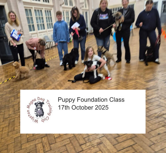 Puppy Class Bronze 2