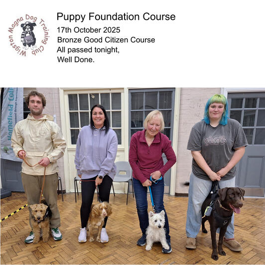 Puppy Class Bronze Puppy Class Bronze